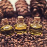 Cédrový olej – dar zo sibírskej prírody