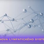 Matrica – Obnova lymfatického systému