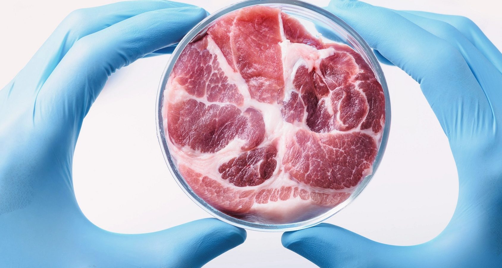 Laboratorní maso je špatné pro naše zdraví, může být použito jako zbraň a je nástrojem k likvidaci zemědělců
