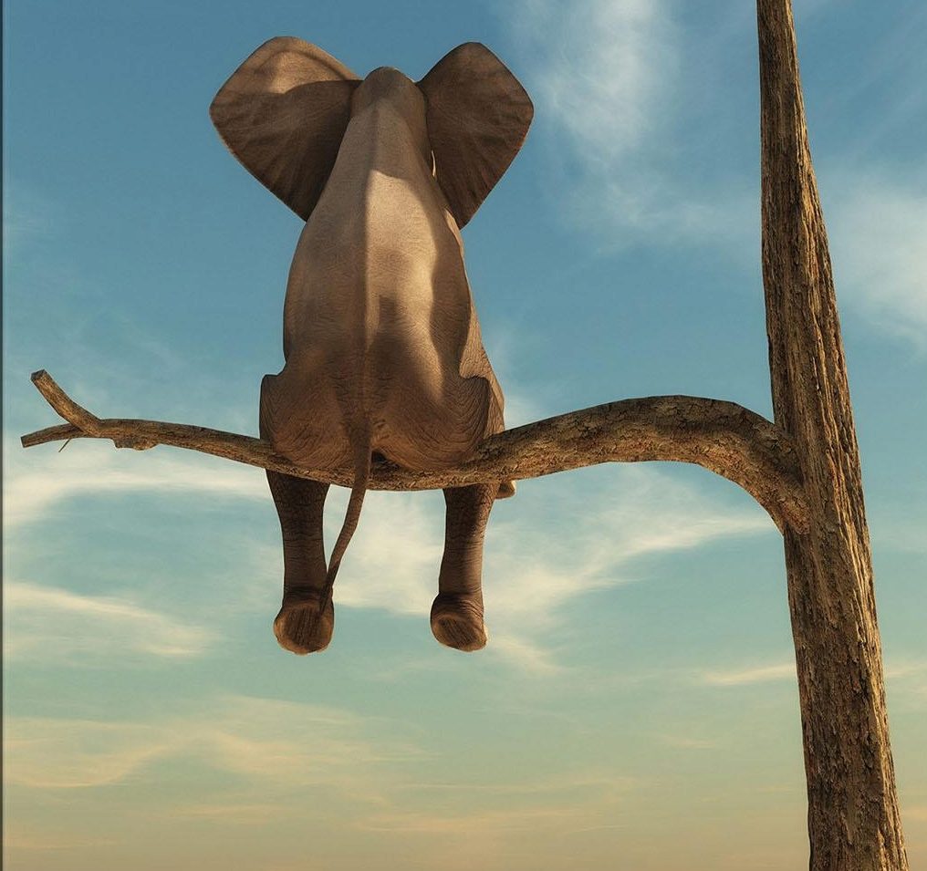 Ako sme naprogramovaní očakávaniami