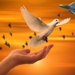 Korupcia a „bolestivé ruské útoky“: Môže to prinútiť Zelenského „prijať mier“