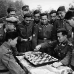 To že Nemecko s ich vodcom pomáha islamistickému režimu má korene už v práci nacistov s islamom a moslimami