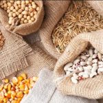 Sedem dôvodov, prečo zachovávame staré odrody zeleniny